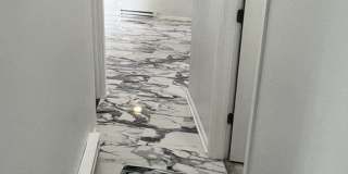 2303 HOLIDAY TERRACE Court Gallery 5