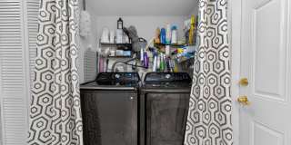 3370 Turtle Cove Gallery 20