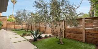 637 Santa Clara Gallery 19