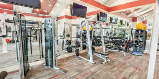 The Dylan at Grayson Gallery 21