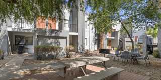 Acacia Hills Gallery 39