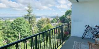 519 N Garden St Gallery 33