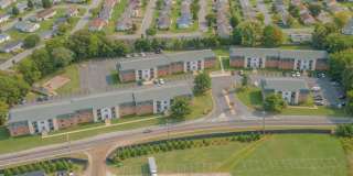 Persimmon Tree Gallery 1