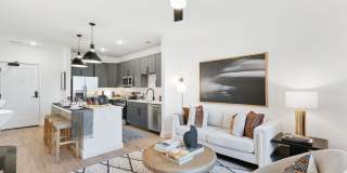Bond on Mint Gallery 45