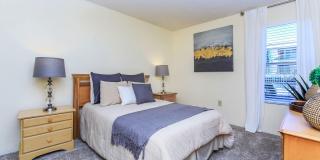 Whispering Pines Gallery 6