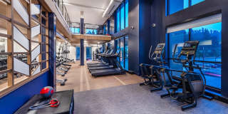 The Brynn Apartments Gallery 26