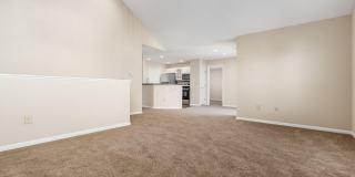 4981 Stratford Pine Lane Gallery 10