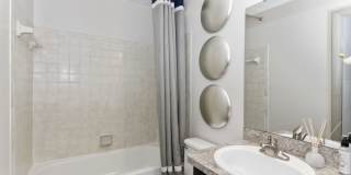 Canopy at Baybrook Canopy at Baybrook Gallery 8