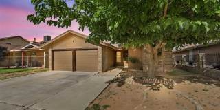 10902 YOGI BERRA Circle Gallery 2