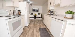 Aspen Pines Gallery 39