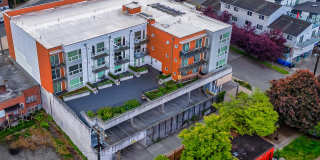 Harlow Heights Gallery 17