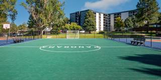 Vine at Panorama Gallery 24