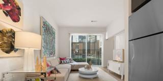 30Six NoDa Gallery 5