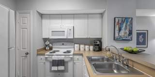 Vue Tampa - Student Housing Gallery 6