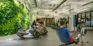 Mira First & M Gallery 4