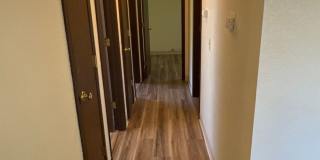 Bright 3 Bedroom 1 Bath in NW Corvallis ~ Small Dogs Welcome! Gallery 11