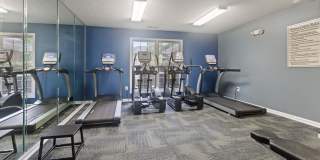 Hollis 7601 Gallery 24