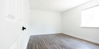 Nissan Golden Gate LLC Gallery 5