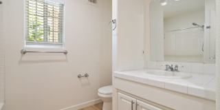 Newly renovated downstairs 1 bedroom 1 bath. Gallery 9