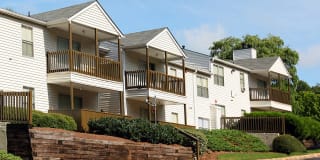 Greenhouse Gallery 15