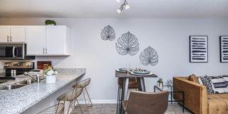 Atlantic Palms Gallery 19