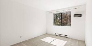 Modern 2-Bedroom Condo in Shoreline with Stylish Finishes Gallery 17