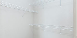 RIZE at Winter Springs Gallery 115