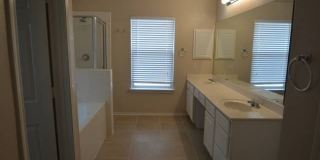 956 PERSIAN GDN Gallery 8