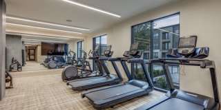 Vero McKinney Gallery 8