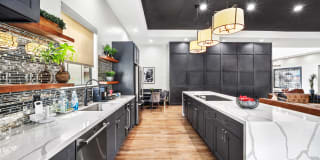 ReNue Downtown Gallery 6