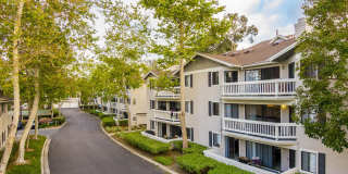 Flower Fields Condominiums Gallery 22