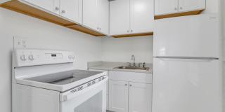 204 Conniston Road Gallery 7