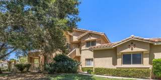 41 Alondra Gallery 1