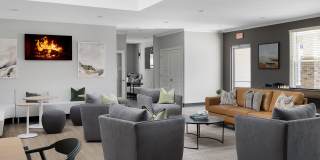 Newtown Woods Gallery 3