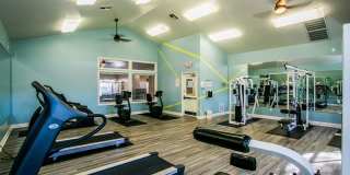 Newport Village Apartments Gallery 3