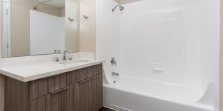 SOMA at 788 Gallery 5