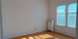 The Shamrock North Gallery 21