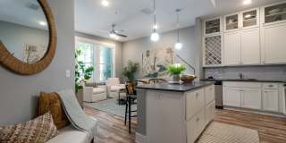 Novus Westshore Gallery 31