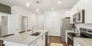 Ascend at Carlton Gallery 51