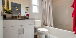 392 Sycamore II Gallery 1