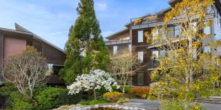 Bainbridge Island Condominium at Vineyard Lane Bainbridge Island Condominium at Vineyard Lane Gallery 39