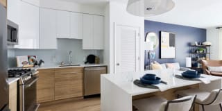 Chevy Chase Lake Gallery 35