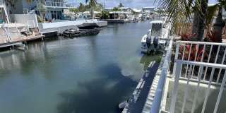 903 Tropical Lane Gallery 1