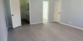 4075 Palm Forest Drive N Gallery 12