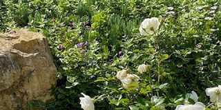 3200 La Rotonda Gallery 38