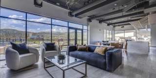 The DeWitt Gallery 24