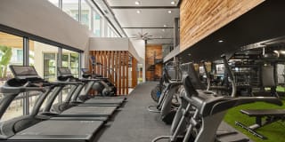 AVE Tampa Riverwalk Gallery 11