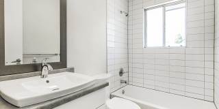 701 (384) Gallery 11