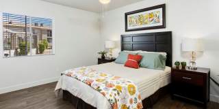 Palm Crest at Station 40 Gallery 8