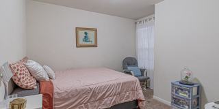 2831 Lavender Gallery 20